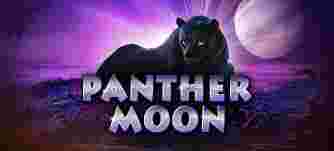 Panther Moon GameSlot Online - Menciptakan Mukjizat Malam dengan Panther Moon: Permainan Slot Online yang Memperkenalkan Kehebohan